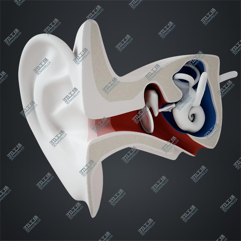 images/goods_img/202105073/Inner Ear/2.jpg